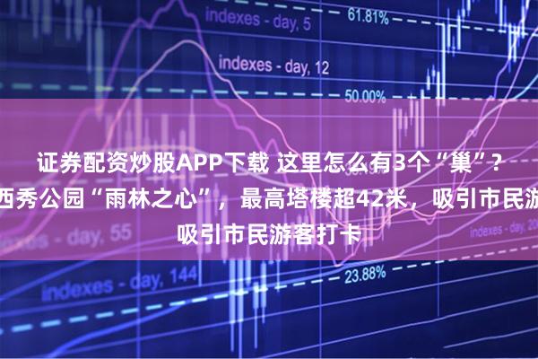 证券配资炒股APP下载 这里怎么有3个“巢”?系海口西秀公园“雨林之心”，最高塔楼超42米，吸引市民游客打卡